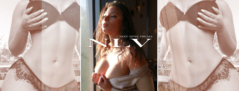 Header of next_level_vis