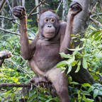 Free access to (@notgavin) Leaked OnlyFans 

 profile picture