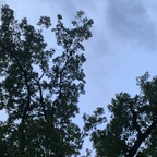 Onlyfans leaks nuuuute_sex 

 profile picture