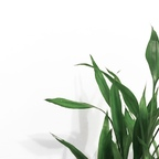 Onlyfans leak onlinegirl 

 profile picture