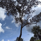 Free access to onlyesc Leaked OnlyFans 

 profile picture