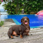 orangesnotapples (Fruit Stand Guy) free OnlyFans Leaked Pictures & Videos 

 profile picture