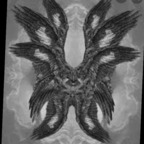 Onlyfans leaks painel 

 profile picture