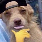 palmtoptig3r (palmtoptiger) Leaked OnlyFans 

 profile picture