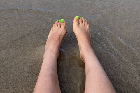 Header of pandabebita