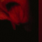 Onlyfans leaked paulafrancisca 

 profile picture