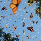 Free access to @phatandjuicy Leaks OnlyFans 

 profile picture