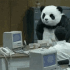 Free access to (piezoelectric) Leak OnlyFans 

 profile picture