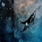 plumes-of-happy @plumesofhappy Leak OnlyFans 

 profile picture