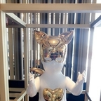 Onlyfans leaked proud 

 profile picture