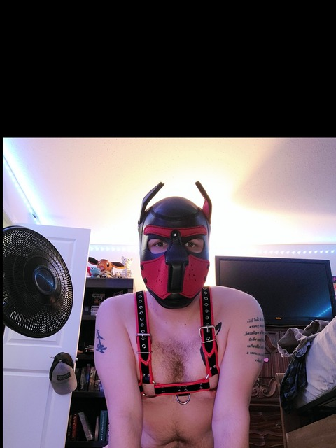 Header of pup_merlin