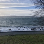 pussyriot OnlyFans Leaked Photos and Videos 

 profile picture