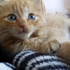 Free access to (@rebecca_lee) Leak OnlyFans 

 profile picture