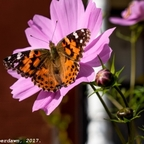 rowena (RowenaLongbottom) free OnlyFans Leaked Videos and Pictures 

 profile picture