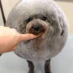 Onlyfans leaked rudi68 

 profile picture