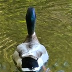 s6t9b (Slimthicboi) free OnlyFans Leaked Content 

 profile picture