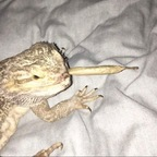 saintz OnlyFans Leaked Photos and Videos 

 profile picture