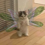 Download sanrioh0e OnlyFans content for free 

 profile picture