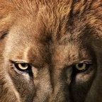 Onlyfans leaked saunz 

 profile picture