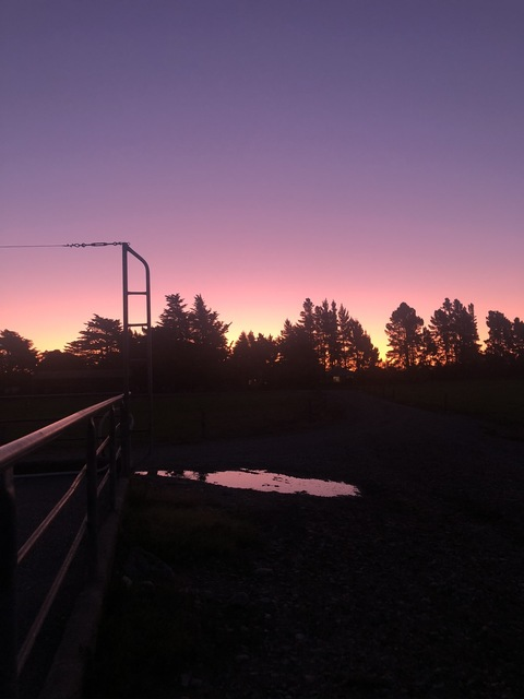 Header of shanayze_xo