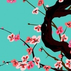 Free access to (@skonk) Leaked OnlyFans 

 profile picture