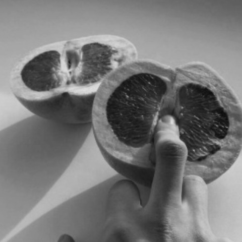 Header of sofia_fire