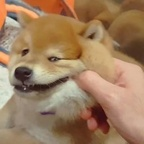 specialgiftz OnlyFans Leaked 

 profile picture