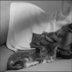 Download sssssam OnlyFans videos and photos for free 

 profile picture