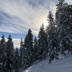 steeph OnlyFans Leak 

 profile picture