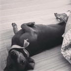 steff (Stephano) free Only Fans content [UPDATED] profile picture