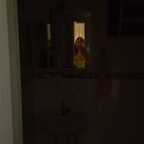 sweetpeachhh (Sweet Peachh) free OnlyFans Leaked Pictures and Videos 

 profile picture