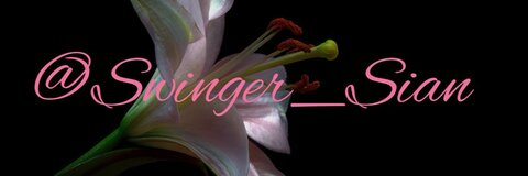 Header of swinger_sian