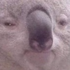 tacomaster420 (b) free OnlyFans Leaks 

 profile picture