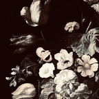 Free access to tatted_b6 Leak OnlyFans 

 profile picture