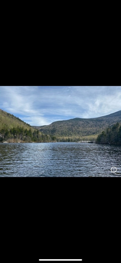 Header of taylor_mayy