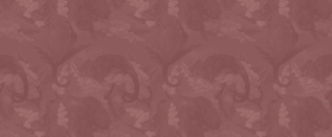 Header of tequilalala