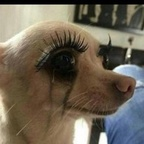 Download th0tsandprayers OnlyFans content for free 

 profile picture