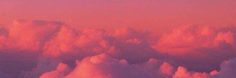 Header of thatgirlherbo