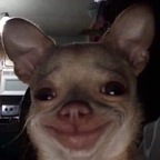 Free access to (throatpoker69) Leaks OnlyFans 

 profile picture