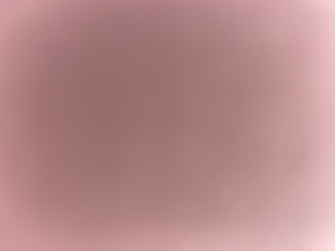 Header of tootsie_twinkle