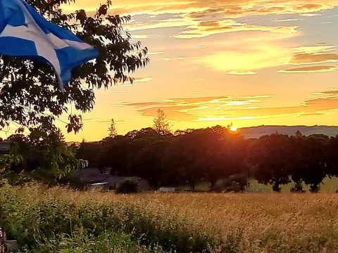 Header of tootsietraveller