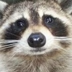 Onlyfans leaks trash 

 profile picture