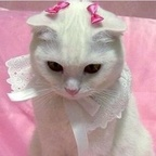 Download trash_bby OnlyFans content for free 

 profile picture