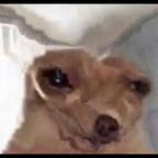 Download trinidy OnlyFans videos and photos for free 

 profile picture