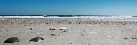 Header of tylerpa04829113