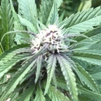 u109946432 OnlyFans Leaked Photos and Videos 

 profile picture