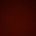 Download u114012202 OnlyFans content for free 

 profile picture