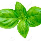 Free access to u21349926 Leak OnlyFans 

 profile picture