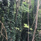 u224066514 (Eren Demir) OnlyFans Leaked Videos and Pictures 

 profile picture