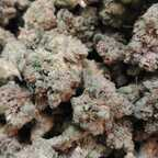 u24004959 OnlyFans Leaked 

 profile picture